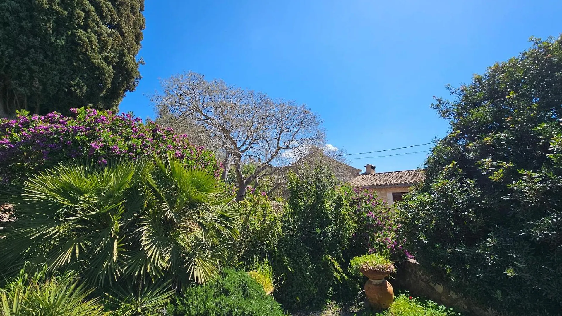 Hotel Asis de Marratxinet