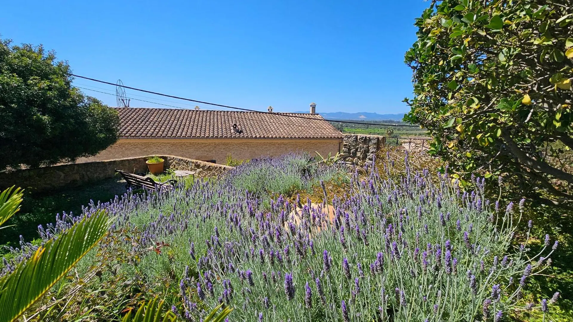 Hotel Asis de Marratxinet Espagne